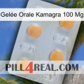 Gelée Orale Kamagra 100 Mg 24